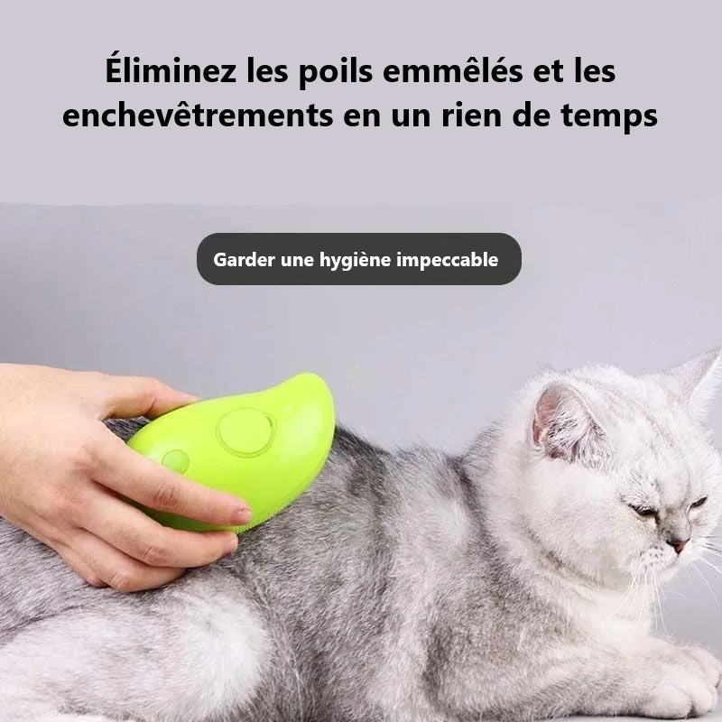 Brosse à vapeur pour animaux